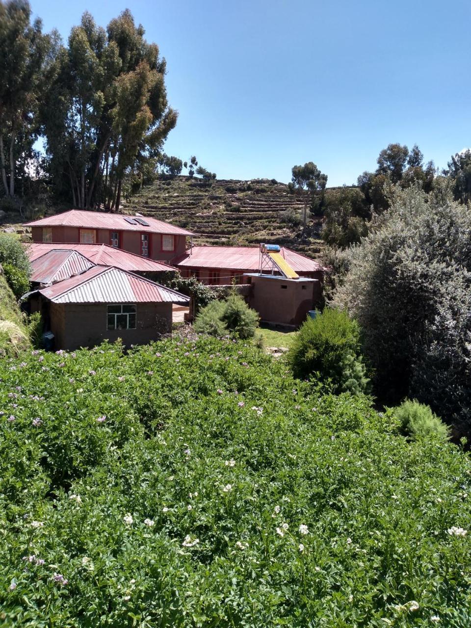 Taquile Familia Celso Hotel Huillanopampa Bagian luar foto